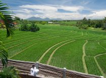 Villa Shalimar Makanda, Rice Terasses